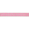 Επιστήθιο Max & Molly Retro Pink XSmall 1x32-40cm ΣΚΥΛΟΙ