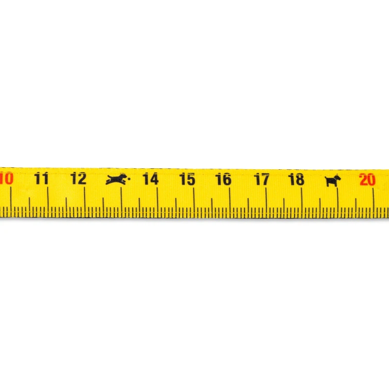 Επιστήθιο Max & Molly Ruler XSmall 1x32-40cm ΣΚΥΛΟΙ