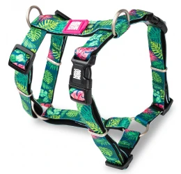 Επιστήθιο Max & Molly Tropical Medium 2x53-69cm Επιστήθιο Max & Molly Tropical Medium 2x53-69cm