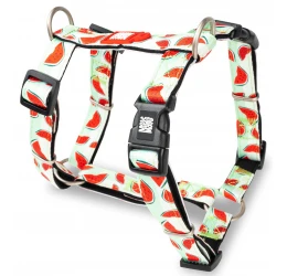 Επιστήθιο Max & Molly Watermelon Small 1,5x41-52cm Επιστήθιο Max & Molly Watermelon Small 1,5x41-52cm