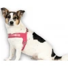 Επιστήθιο Max & Molly Q-Fit - Matrix 2.0 Small 44-48cm Ροζ Σκύλοι Επιστήθιο Max & Molly Q-Fit - Matrix 2.0 Small 44-48cm Ροζ Σκύλοι