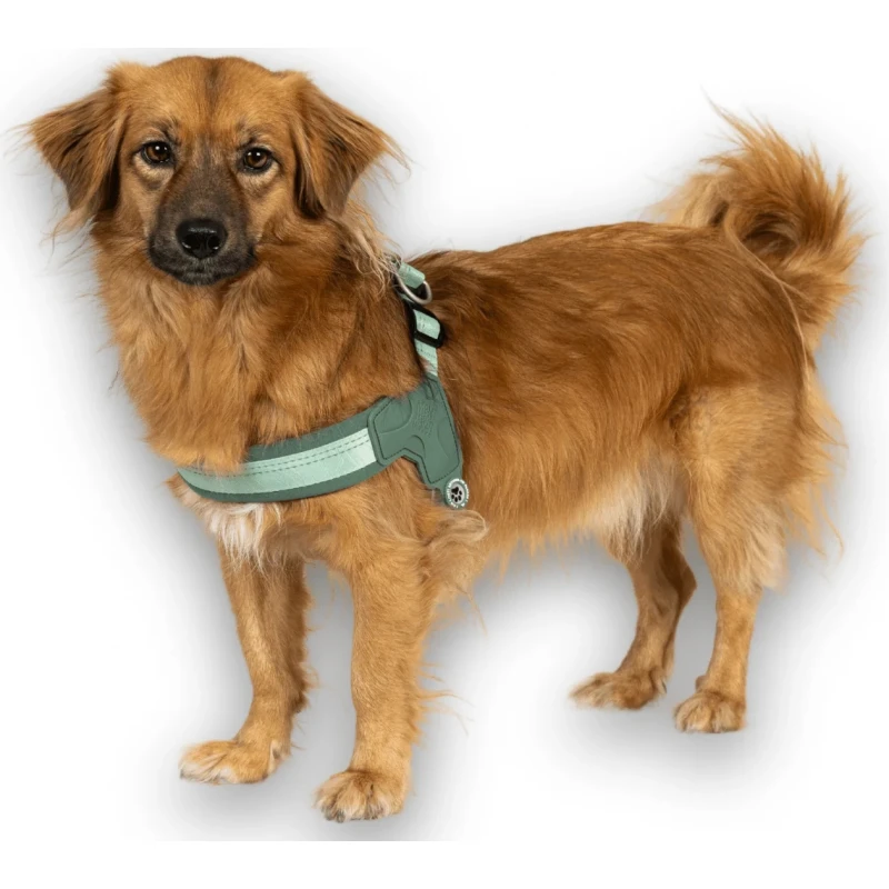 Επιστήθιο Max & Molly Q-Fit - Matrix 2.0 Large 52-56cm Πράσινο Σκύλοι Επιστήθιο Max & Molly Q-Fit - Matrix 2.0 Large 52-56cm Πράσινο Σκύλοι