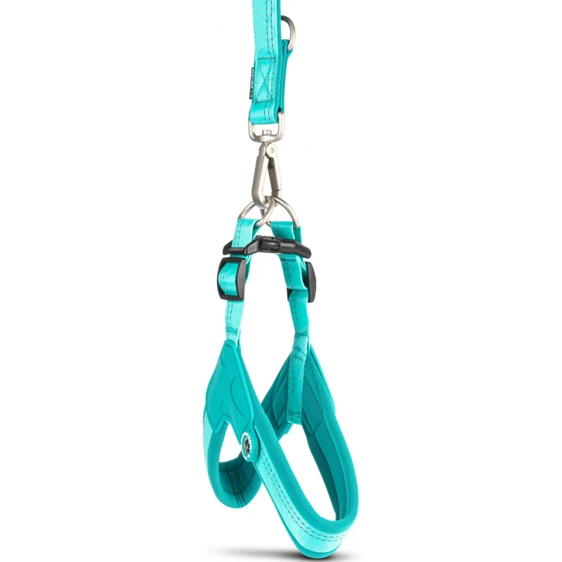 Επιστήθιο Max & Molly Q-Fit - Matrix 2.0 Large 52-56cm Τιρκουάζ Σκύλοι Επιστήθιο Max & Molly Q-Fit - Matrix 2.0 Large 52-56cm Τιρκουάζ Σκύλοι