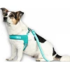 Επιστήθιο Max & Molly Q-Fit - Matrix 2.0 Large 52-56cm Τιρκουάζ Σκύλοι Επιστήθιο Max & Molly Q-Fit - Matrix 2.0 Large 52-56cm Τιρκουάζ Σκύλοι