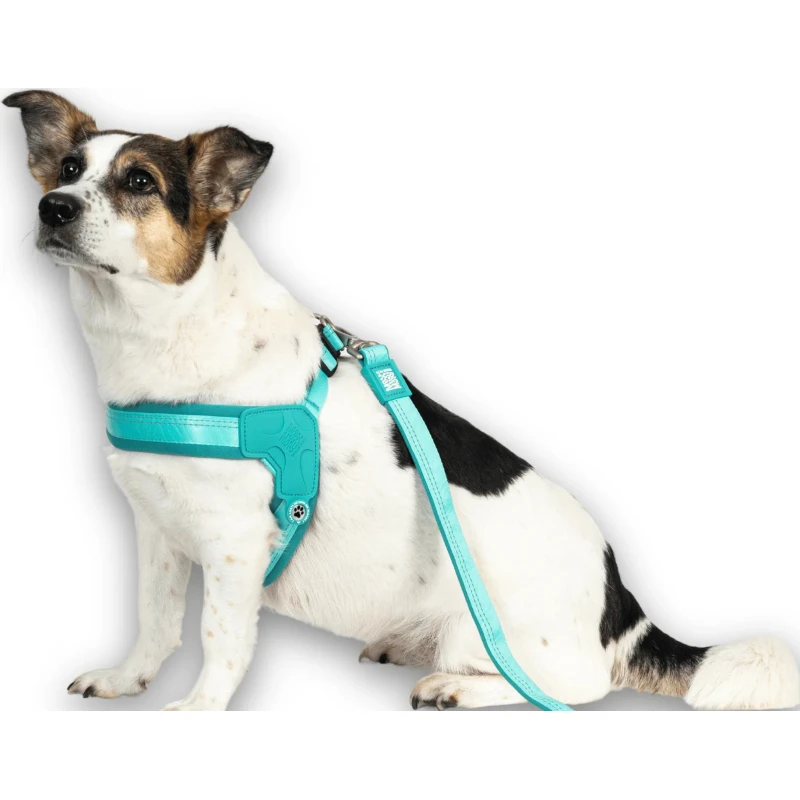 Επιστήθιο Max & Molly Q-Fit - Matrix 2.0 Large 52-56cm Τιρκουάζ Σκύλοι Επιστήθιο Max & Molly Q-Fit - Matrix 2.0 Large 52-56cm Τιρκουάζ Σκύλοι