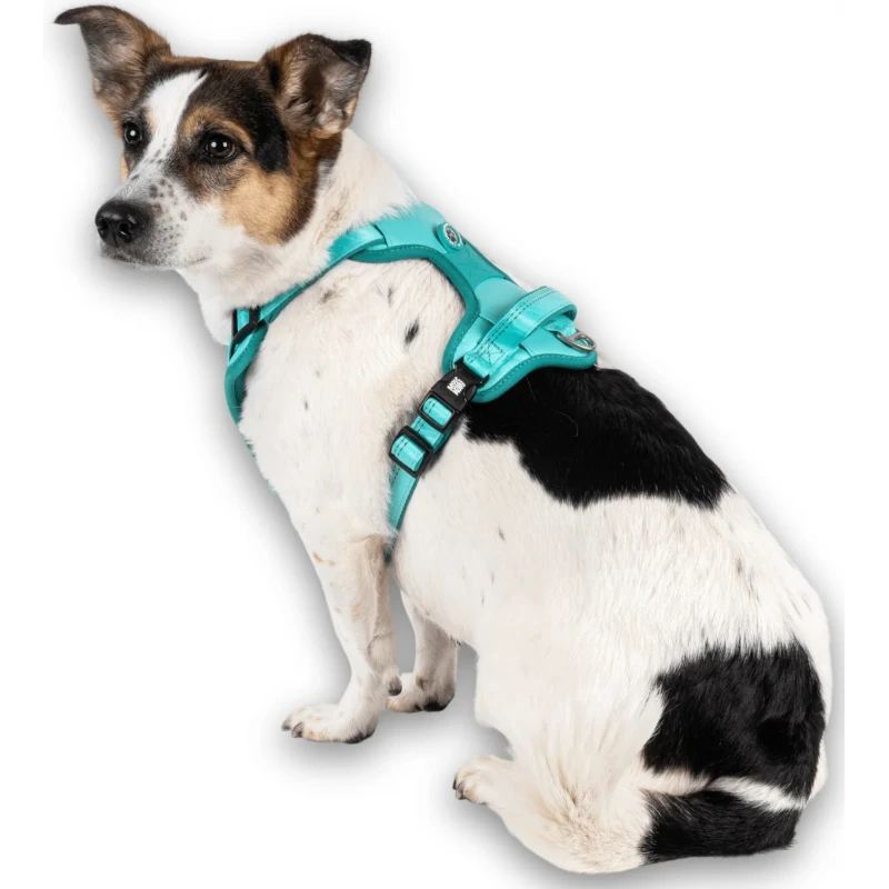 Επιστήθιο Max & Molly Sport Harness - Matrix 2.0 Large 60-80cm Τιρκουάζ Σκύλοι