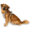 Επιστήθιο Max & Molly Sport Harness - Matrix 2.0 Large 60-80cm Μπεζ Σκύλοι