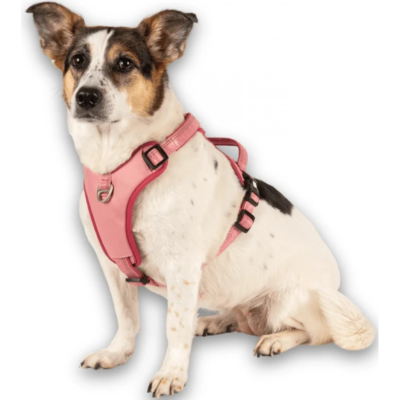 Επιστήθιο Max & Molly Sport Harness - Matrix 2.0 Large 60-80cm Ροζ Σκύλοι