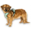 Επιστήθιο Max & Molly Sport Harness - Matrix 2.0 Large 60-80cm Πράσινο Σκύλοι Επιστήθιο Max & Molly Sport Harness - Matrix 2.0 Large 60-80cm Πράσινο Σκύλοι