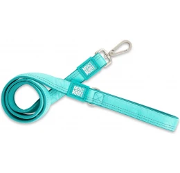 Λουρί - Οδηγός Max & Molly Matrix 2.0 Small 2x120cm Τιρκουάζ Λουρί - Οδηγός Max & Molly Matrix 2.0 Small 2x120cm Τιρκουάζ