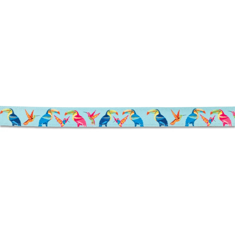 Επιστήθιο Max & Molly Paradise XSmall 1x32-40cm ΣΚΥΛΟΙ