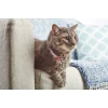Περιλαίμιο Γάτας  Max & Molly Cherry Bloom Cat 1x22-35cm ΓΑΤΕΣ