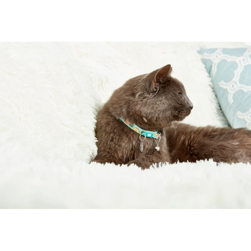 Περιλαίμιο Γάτας  Max & Molly Sweet Pineapple Cat 1x22-35cm ΓΑΤΕΣ