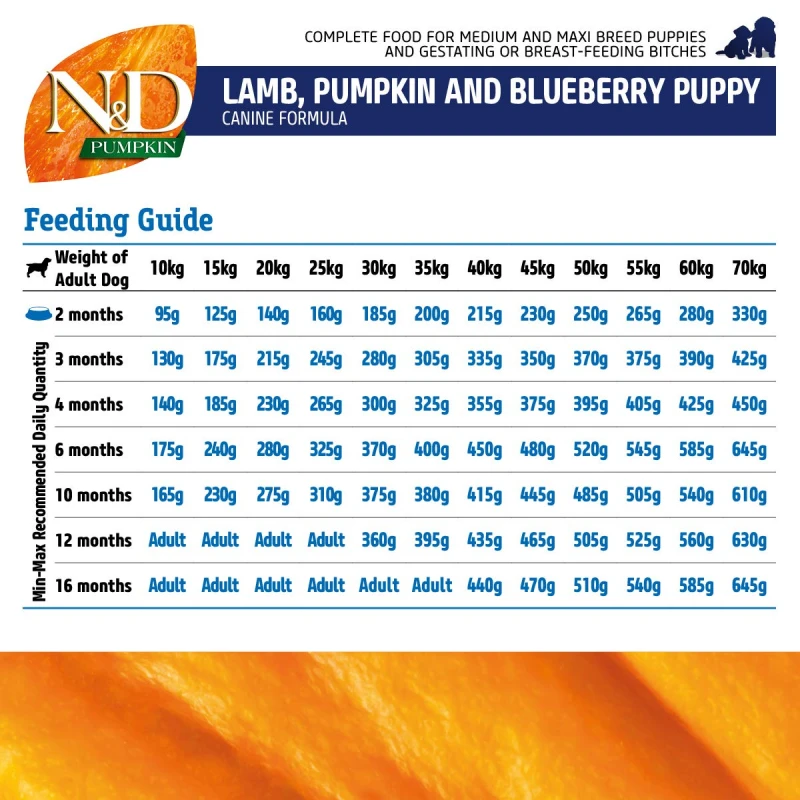 N & D GRAIN FREE PUMPKIN LAMB & BLUEBERRY PUPPY MEDIUM & MAXI 12KG ΞΗΡΑ ΤΡΟΦΗ ΣΚΥΛΟΥ