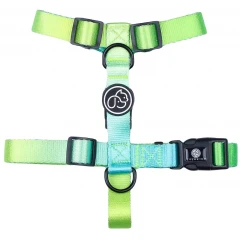 Σαμαράκι Everking Neon 393287 Medium 2x46-65cm Σαμαράκι Everking Neon 393287 Medium 2x46-65cm