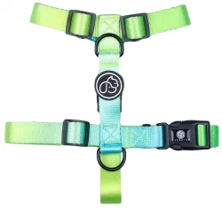 Σαμαράκι Everking Neon 393287 Medium 2x46-65cm Σαμαράκι Everking Neon 393287 Medium 2x46-65cm