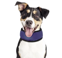 Nobby Cooling Loop Δροσιστικό Περιλαίμιο Large 35-60cm Nobby Cooling Loop Δροσιστικό Περιλαίμιο Large 35-60cm