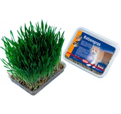 Nobby Γρασίδι για Γάτες Nobby Γρασίδι για Γάτες