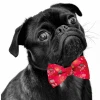 Χριστουγεννιάτικο Παπιγιόν για Σκύλους με Led Φωτισμό Nobby Bow Tie flashing 10x6cm Κόκκινο Σκύλοι
