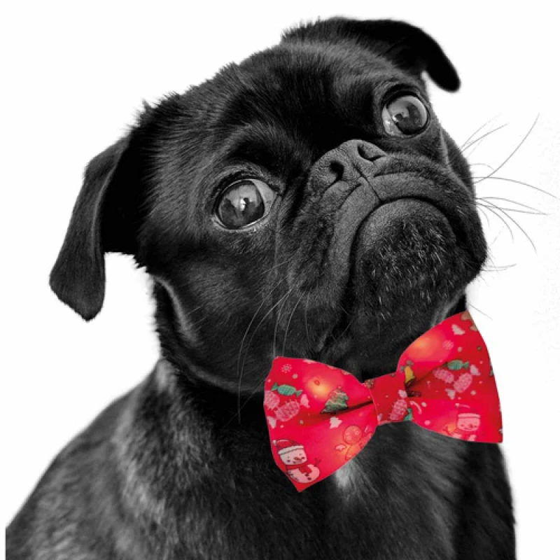 Χριστουγεννιάτικο Παπιγιόν για Σκύλους με Led Φωτισμό Nobby Bow Tie flashing 10x6cm Κόκκινο Σκύλοι