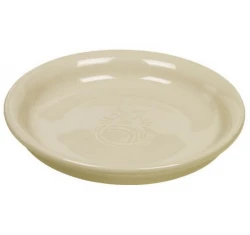 Nobby Κεραμικό Πιάτο Γάτας για Γάλα 100ml Μπεζ Nobby Κεραμικό Πιάτο Γάτας για Γάλα 100ml Μπεζ