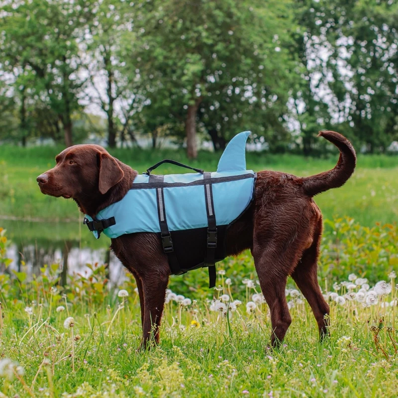 Σωσίβιο θαλάσσης για Σκύλους Nobby Vest Shark Καρχαρίας Γαλάζιο L 40cm ΣΚΥΛΟΙ