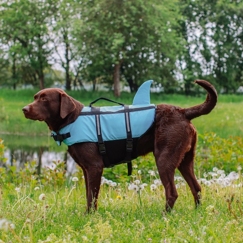 Σωσίβιο θαλάσσης για Σκύλους Nobby Vest Shark Καρχαρίας Γαλάζιο XS 25cm ΣΚΥΛΟΙ