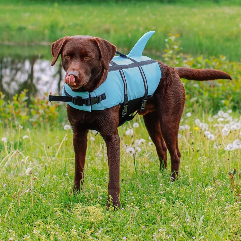 Σωσίβιο θαλάσσης για Σκύλους Nobby Vest Shark Καρχαρίας Γαλάζιο L 40cm ΣΚΥΛΟΙ