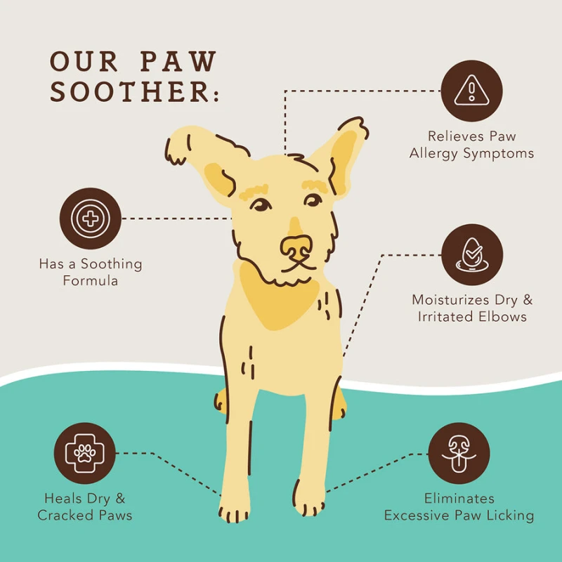 Προστατευτικό Balm Natural Dog Paw Soother 1oz / 30ml κουτάκι ΣΚΥΛΟΙ