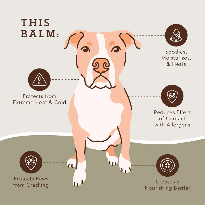 Προστατευτικό για τις πατούσες του Σκύλου Balm Natural Dog Company PawTection 2oz / 59ml κουτάκι ΣΚΥΛΟΙ