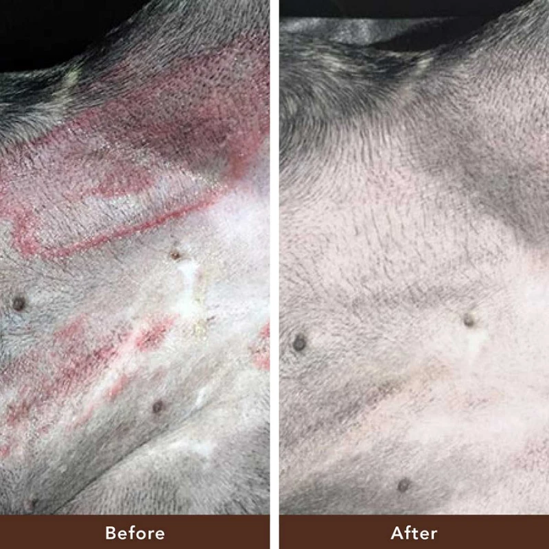 Προστατευτικό για το δέρμα του Σκύλου Balm Natural Dog Company Skin Soother 2oz / 59ml stick ΣΚΥΛΟΙ