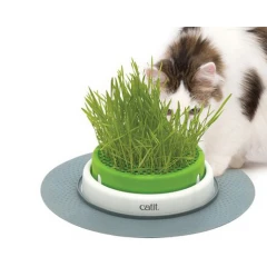 Catit Senses 2.0 Γλάστρα με Χόρτο για Γάτες 37x37x7cm Catit Senses 2.0 Γλάστρα με Χόρτο για Γάτες 37x37x7cm
