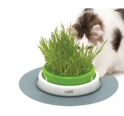 Catit Senses 2.0 Γλάστρα με Χόρτο για Γάτες 37x37x7cm Catit Senses 2.0 Γλάστρα με Χόρτο για Γάτες 37x37x7cm