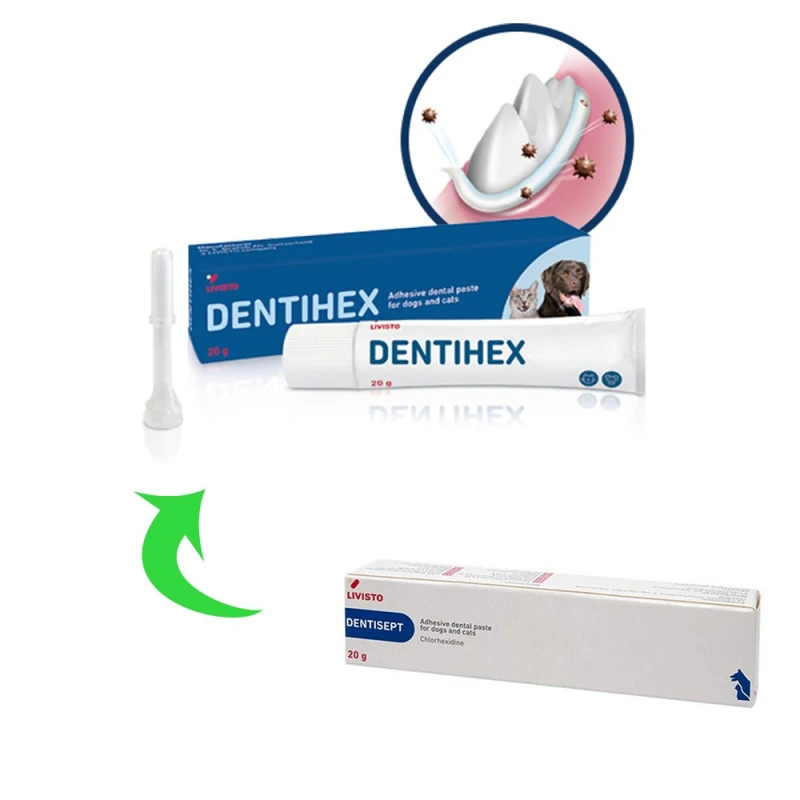 Dentihex Οδοντόπαστα με Χλωρεξιδίνη 20gr Σκύλοι Dentihex Οδοντόπαστα με Χλωρεξιδίνη 20gr Σκύλοι