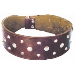 Δερμάτινο Περιλαίμιο με Μικρά Διακοσμιτικά 6,5x70cm Δερμάτινο Περιλαίμιο με Μικρά Διακοσμιτικά 6,5x70cm