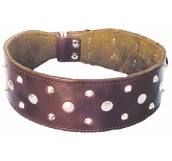 Δερμάτινο Περιλαίμιο με Μικρά Διακοσμιτικά 6,5x70cm