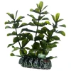 Διακοσμητικό Φυτό Ενυδρείου Hobby Bacopa 13cm