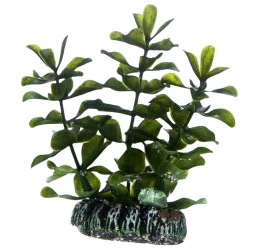 Διακοσμητικό Φυτό Ενυδρείου Hobby Bacopa 13cm