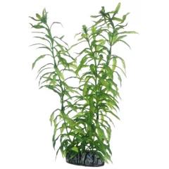 Διακοσμητικό Φυτό Ενυδρείου Hobby Heteranthera 25cm Διακοσμητικό Φυτό Ενυδρείου Hobby Heteranthera 25cm