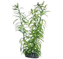 Διακοσμητικό Φυτό Ενυδρείου Hobby Heteranthera 25cm Διακοσμητικό Φυτό Ενυδρείου Hobby Heteranthera 25cm