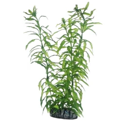 Διακοσμητικό Φυτό Ενυδρείου Hobby Heteranthera 25cm