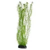 Διακοσμητικό Φυτό Ενυδρείου Hobby Lagarosiphon Green 34cm Διακοσμητικό Φυτό Ενυδρείου Hobby Lagarosiphon Green 34cm