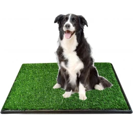 Φορητός Συνθετικός Τάπητας Pet Potty 41x51CM Τουαλέτα Για Εκπαίδευση Σκύλου Με 3 Μέρη Φορητός Συνθετικός Τάπητας Pet Potty 41x51CM Τουαλέτα Για Εκπαίδευση Σκύλου Με 3 Μέρη