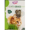 Γρασίδι για Γάτες Lolo Pets 100gr Γάτες