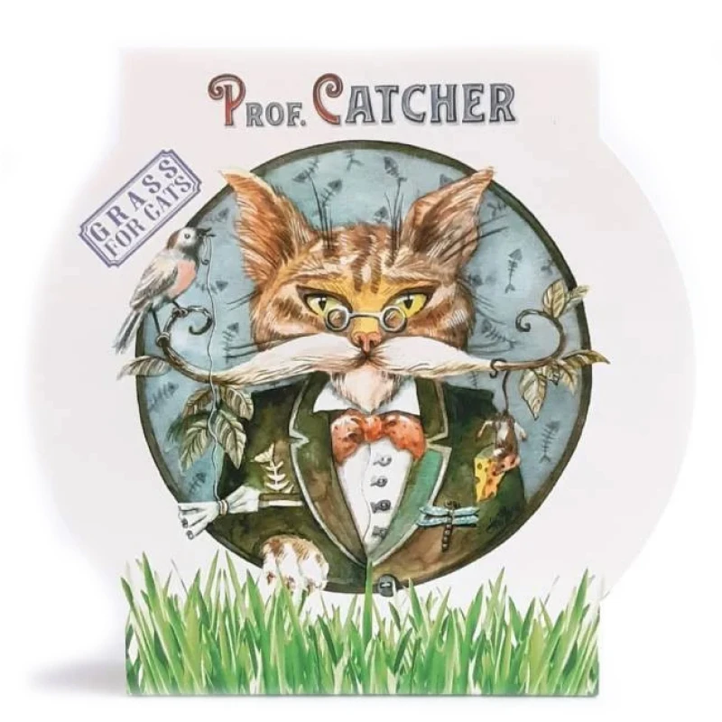 Γρασίδι για Γάτες Zeoteca Prof. Catcher Σετ ΓΑΤΕΣ