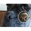 Προστατευτικό Balm Natural Dog Company Snout Soother 2oz 59ml stick για τη μύτη ΣΚΥΛΟΙ