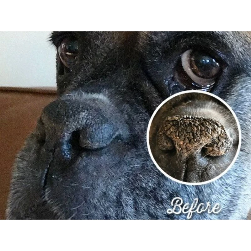 Προστατευτικό Balm Natural Dog Company Snout Soother 2oz 59ml κουτάκι για τη μύτη ΣΚΥΛΟΙ