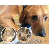 Προστατευτικό Balm Natural Dog Company PawTection 60ml για τις πατούσες  ΣΚΥΛΟΙ
