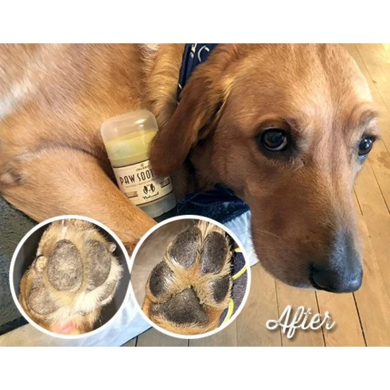 Προστατευτικό Stick Natural Dog Company Paw Soother 60ml για τις πατούσες  ΣΚΥΛΟΙ