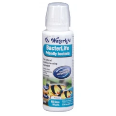 Βελτιωτικό Νερού Waterlife Bacterlife 100ml